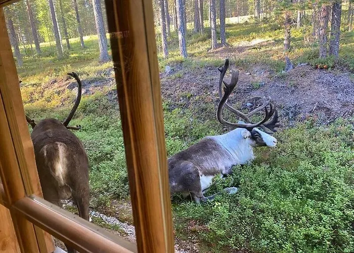 The Hideaway By Hilla * Levi